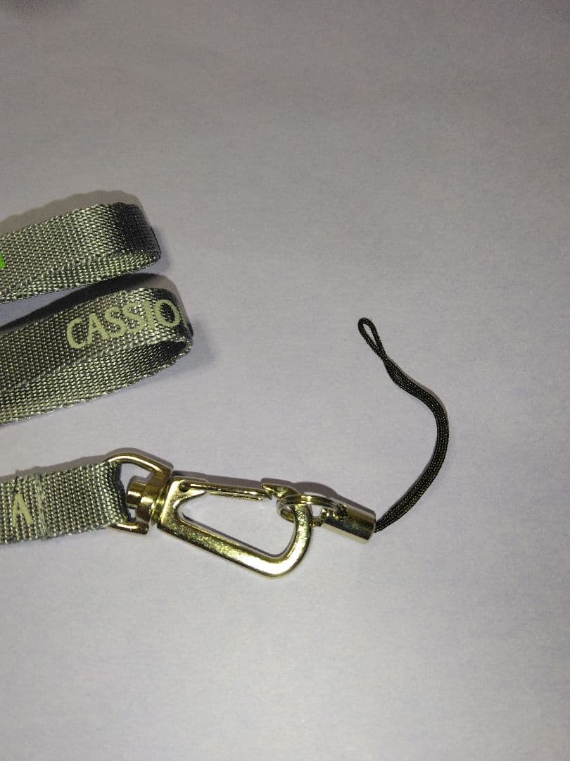 希少　JR東日本 ストラップ カシオペア E26系