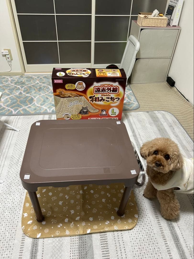 ペット用こたつ にゃんこの和みこたつ