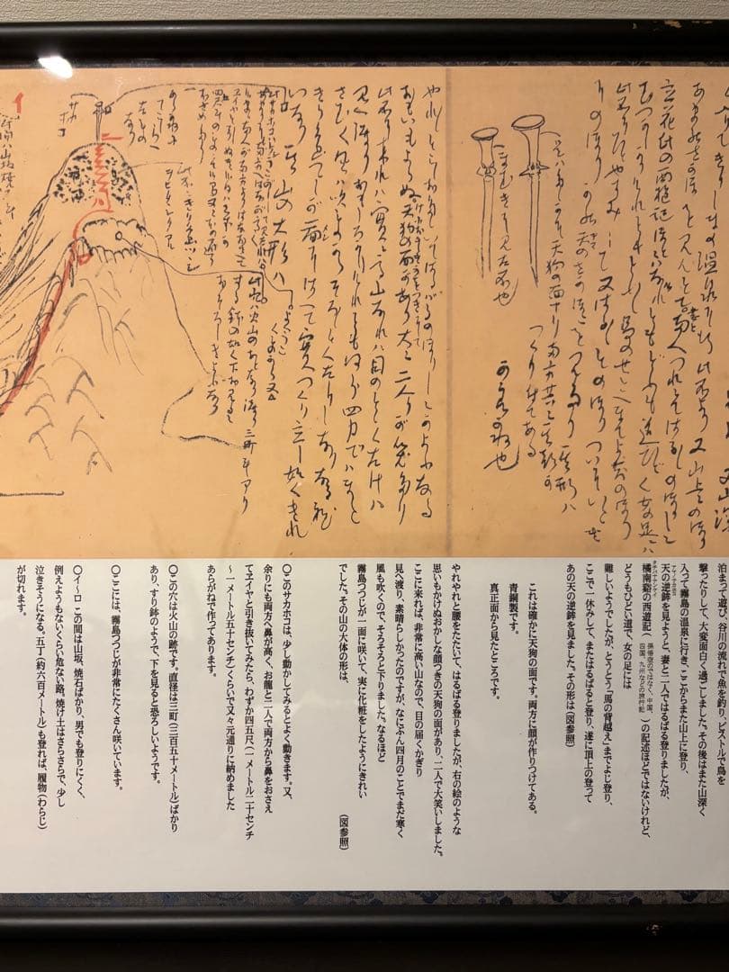 坂本龍馬 龍馬の手紙『近代日本初の新婚旅行記』複製