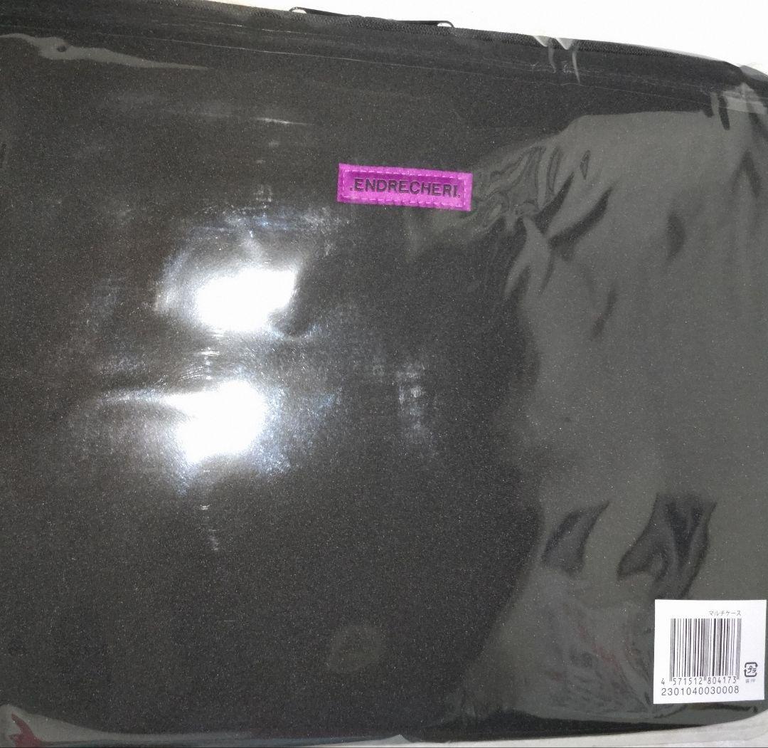 .ENDRECHERI. LIVEグッズ2023フーディーとマルチケース