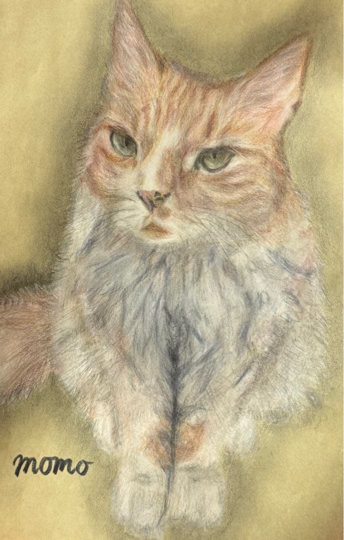 絵のご依頼承ります(オリジナルイラスト又はカラー付き)