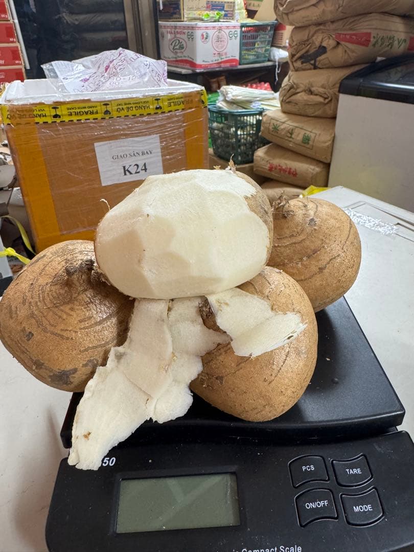 ベトナム産ヒカマ・Củ đậu - 約25kg