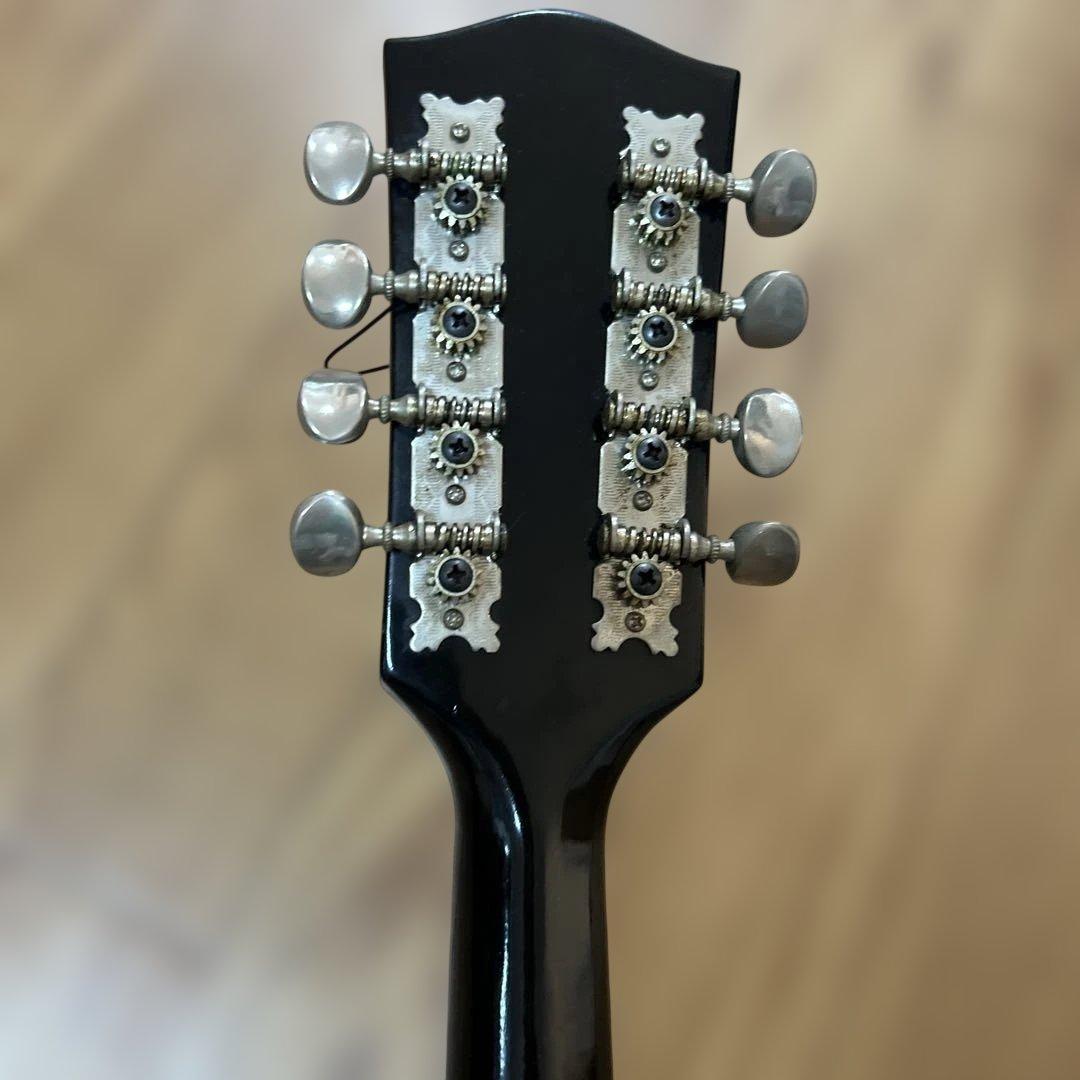 jumbo フラットマンドリン　ritterソフトケース付き　ウクレレ