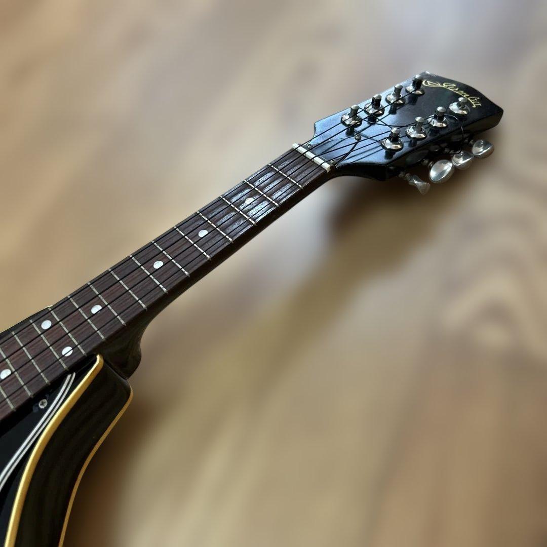 jumbo フラットマンドリン　ritterソフトケース付き　ウクレレ