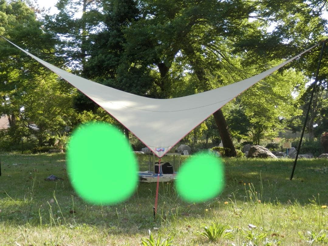 MOSS TENTS parawing 19 パラウィング　シアトル