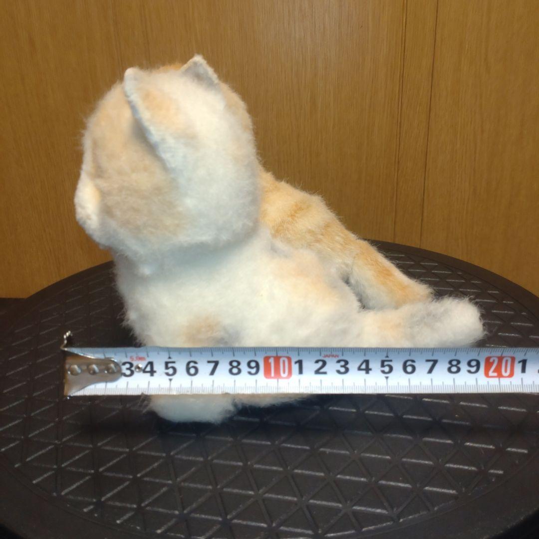 ライブリーラブリー　ねこ