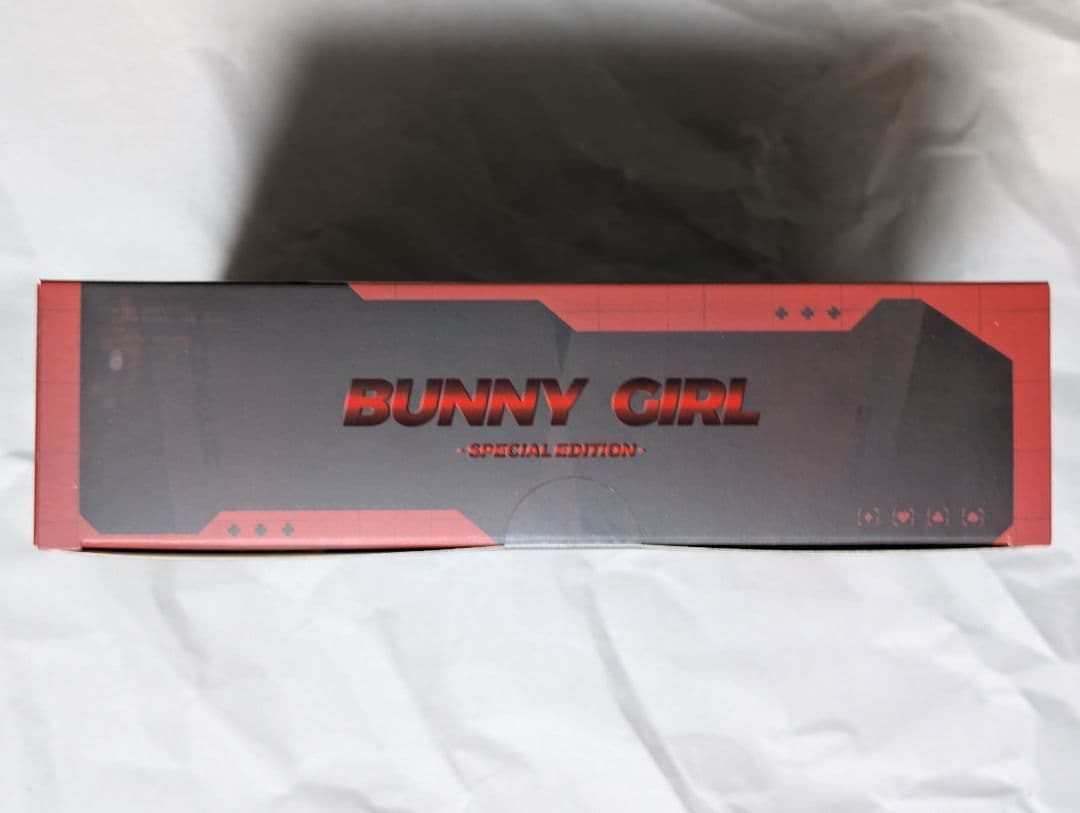 バニーガール アイリン サンキスドVer. フット サイクロンバニー パーカー