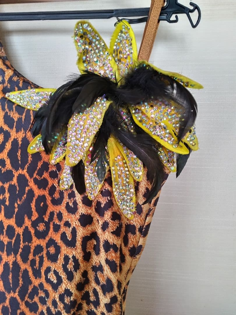 社交ダンス ラテンドレス