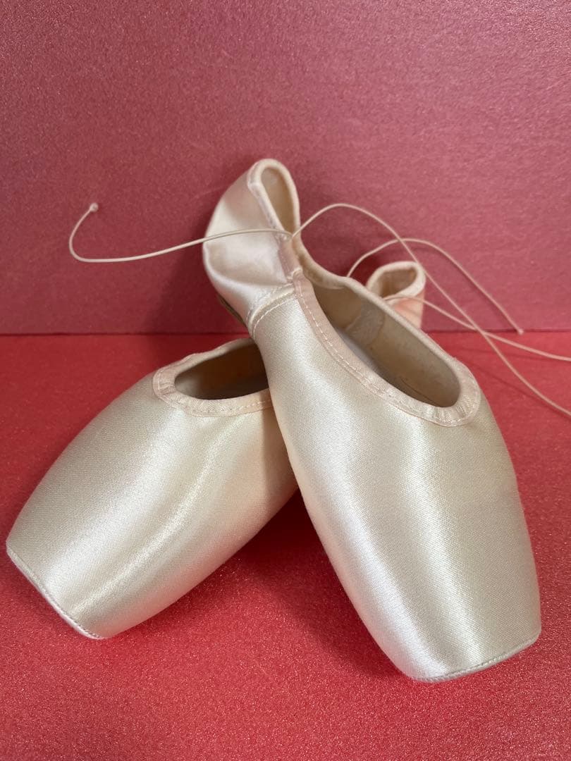 ♪Gaynor Minden トゥシューズ CL-9.5W4SDH