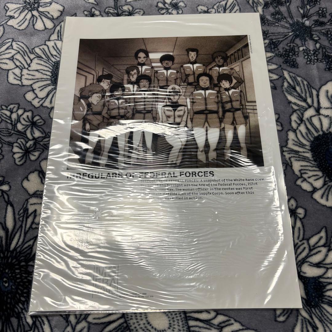 機動戦士ガンダム M.S.ERA 0099 PHOTOFILES 5枚セット