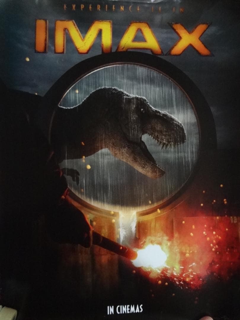 IMAX® シネマズ   入手困難非売品ポスター３０枚セット