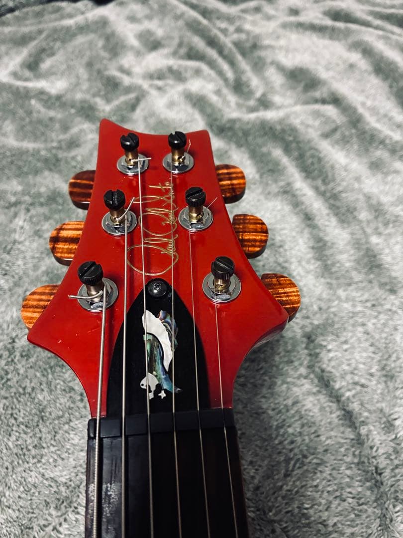 激杢！Paul Reed Smith SE custom24 MOD