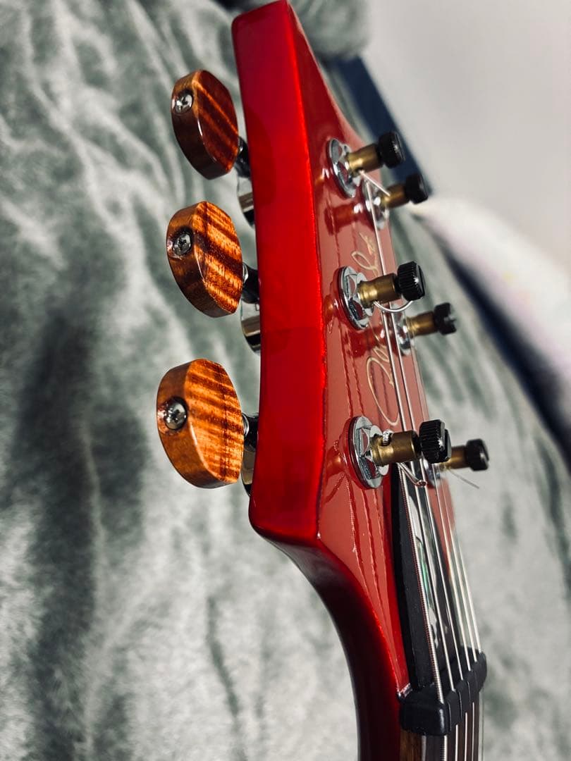 激杢！Paul Reed Smith SE custom24 MOD