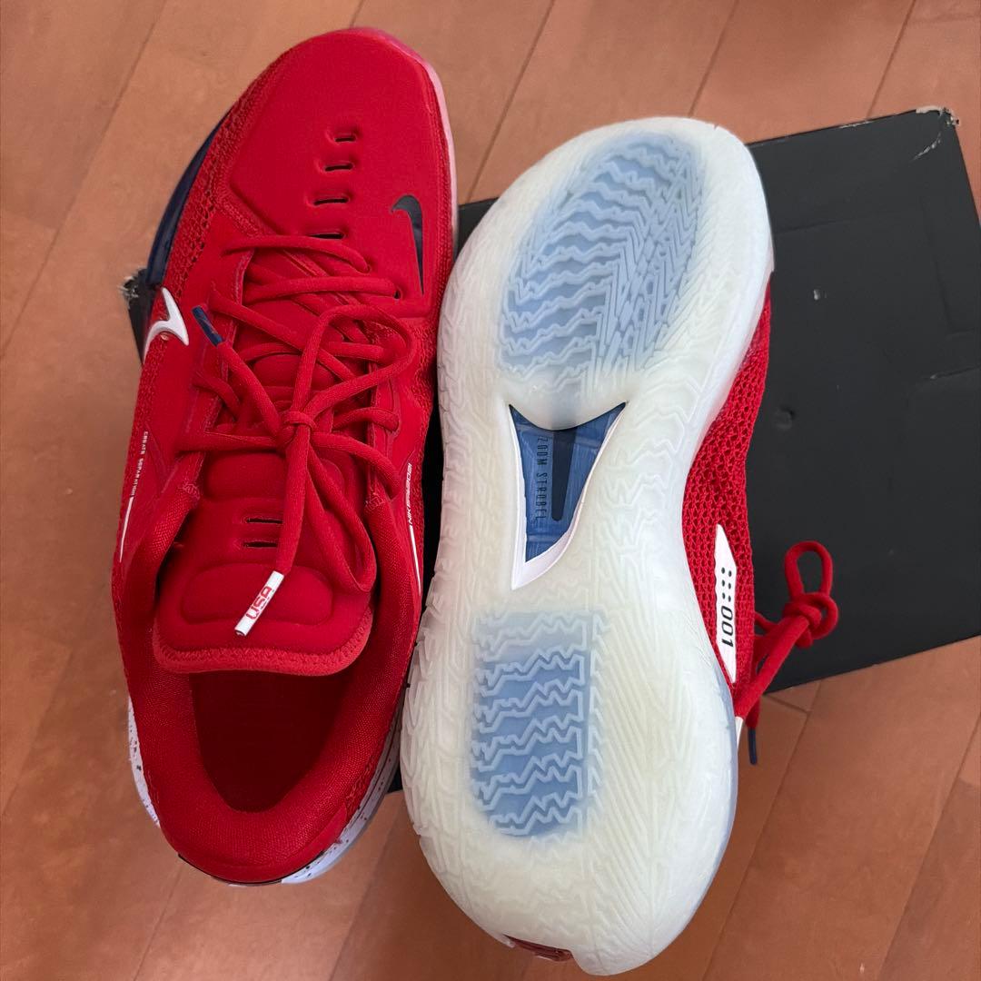 シューズ(男性用) Nike Air Zoom GT Cut Team USA 31cm