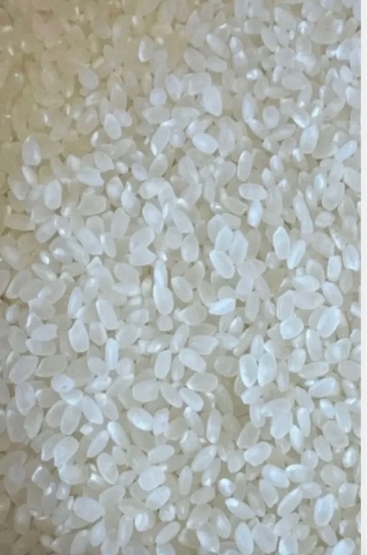 令和7年　新米　大分県産なつほのか　白米10㎏キロ