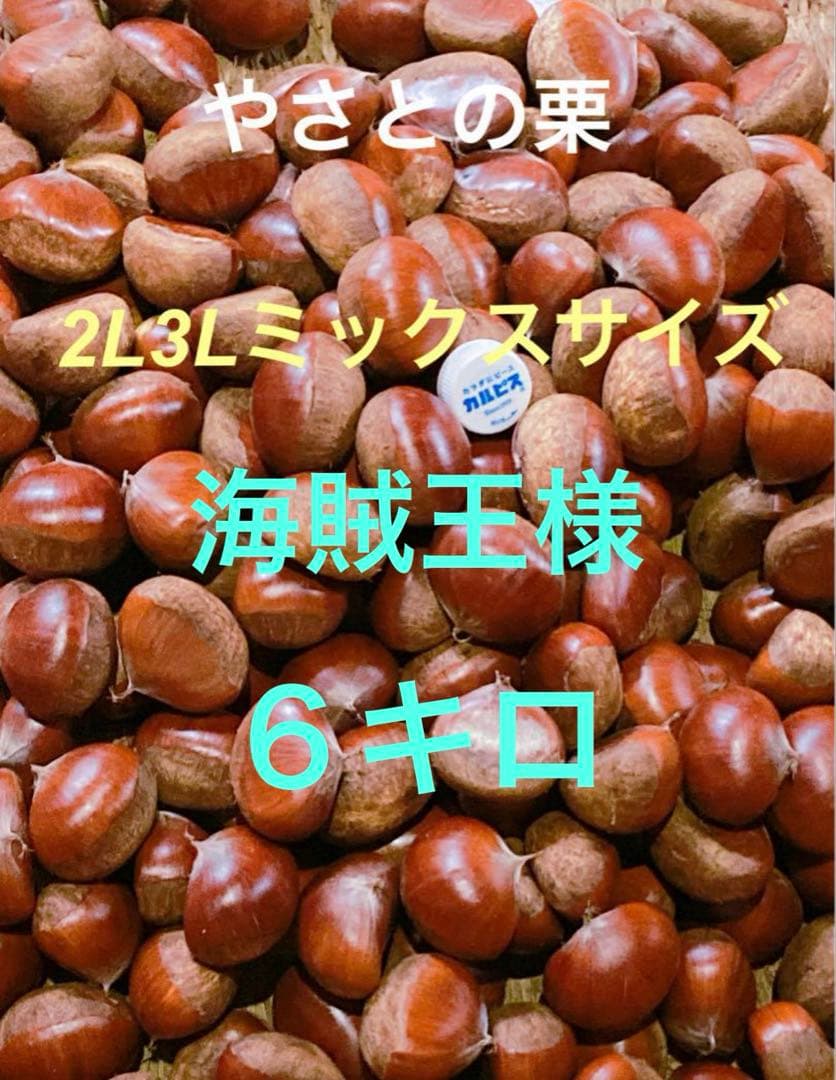 海賊王様　ミックスサイズ　6キロ