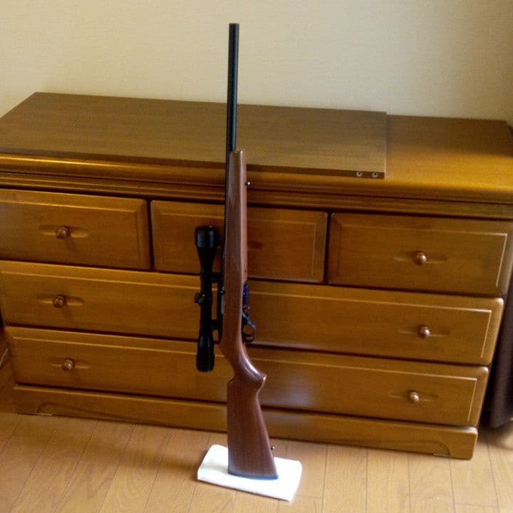 MGC ルガー10／22 SSSスペリオール