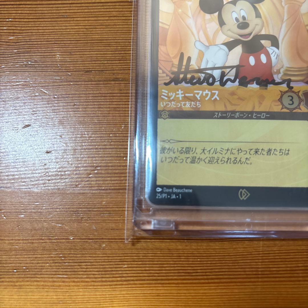 rainbow33　ロルカナ　スティーブワーナー　直筆サイン入カード