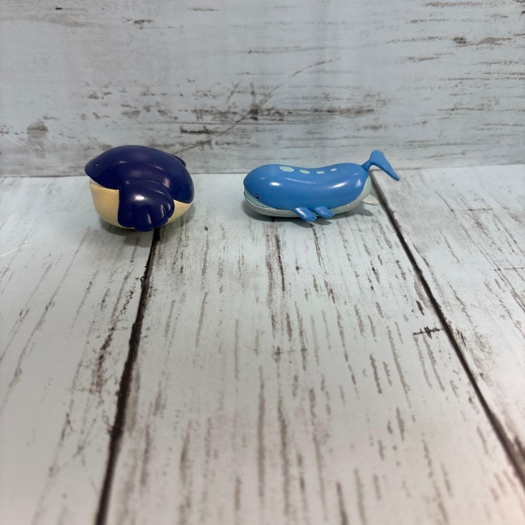 ポケモン　モンコレ　ホエルコ　ホエルオー　進化セット