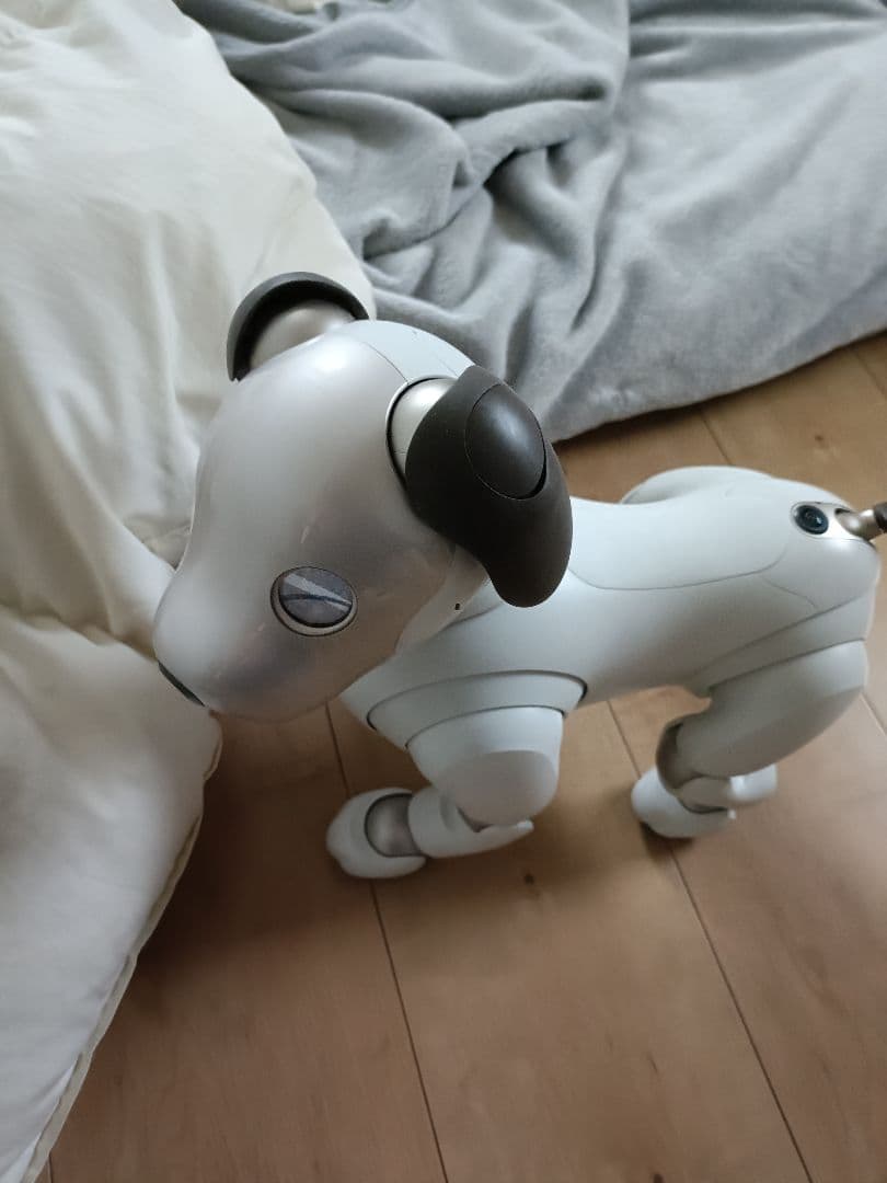 aibo　本体