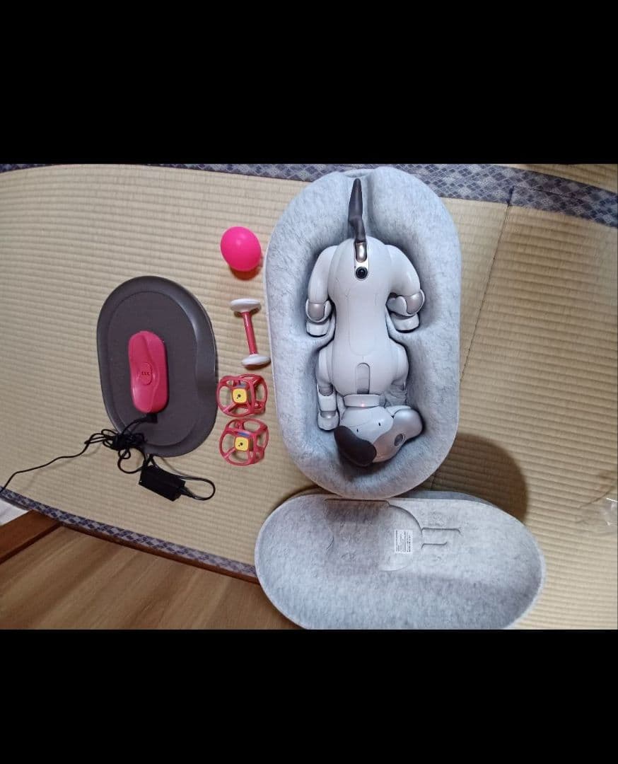 aibo　本体