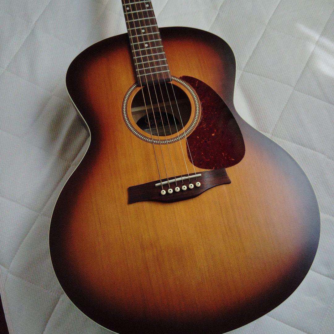 Ｓeagull（シーガル）アコースティックギター 、Mini Ｊumbo