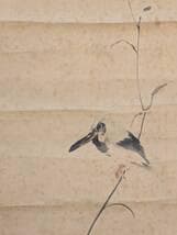 【模写】掛軸　谷文晁　翡翠図　繊細な筆致で描く翡翠と蘭の美　T183