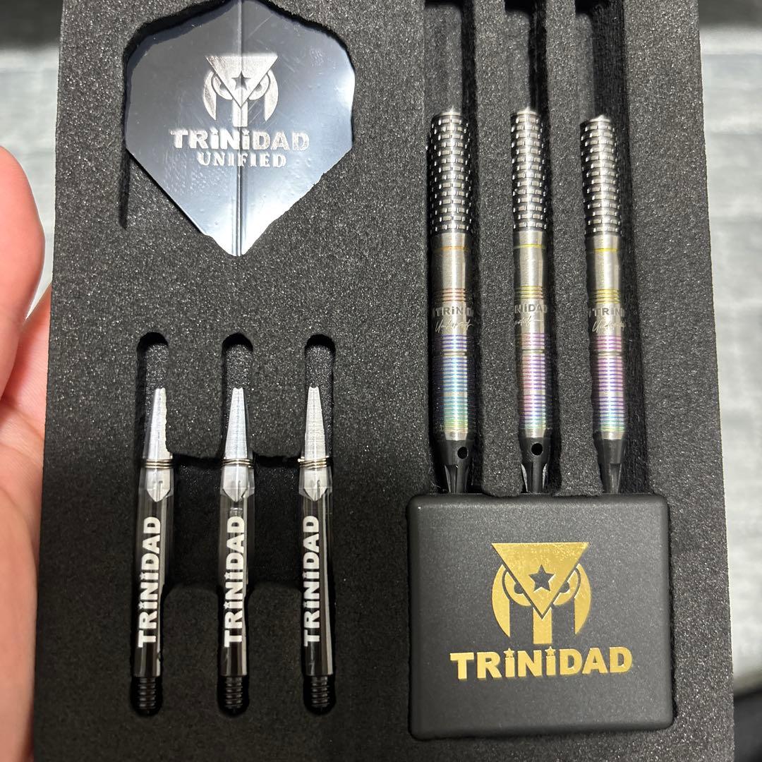 Hugo TYPE2 ダーツ　バレル　ヒューゴ