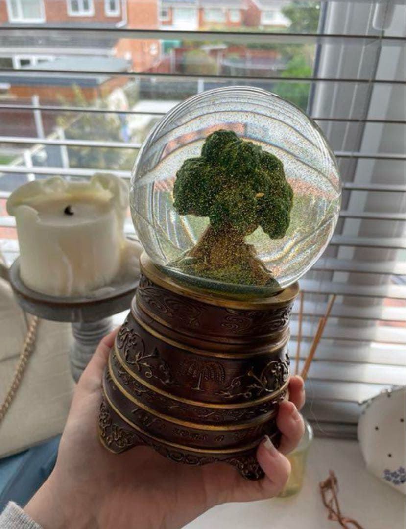  Globe♡Taylor Swift