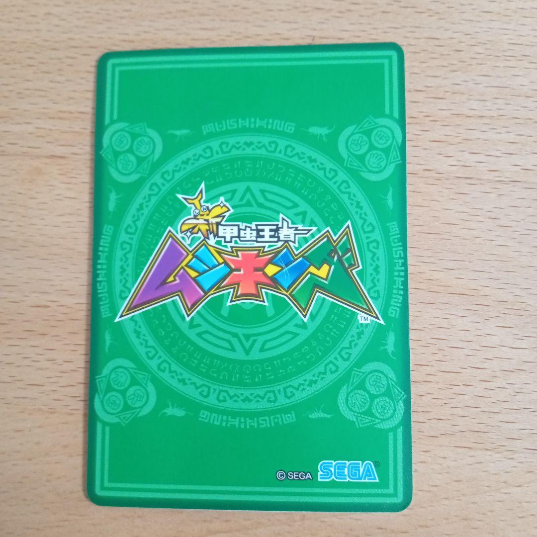 赤い目のタランドゥスツヤクワガタ