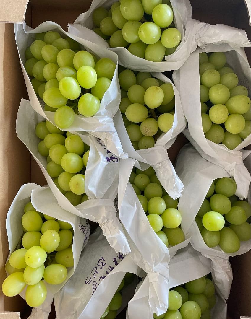 「今週いっぱい提供」シャインマスカット5kg 房入り 訳あり