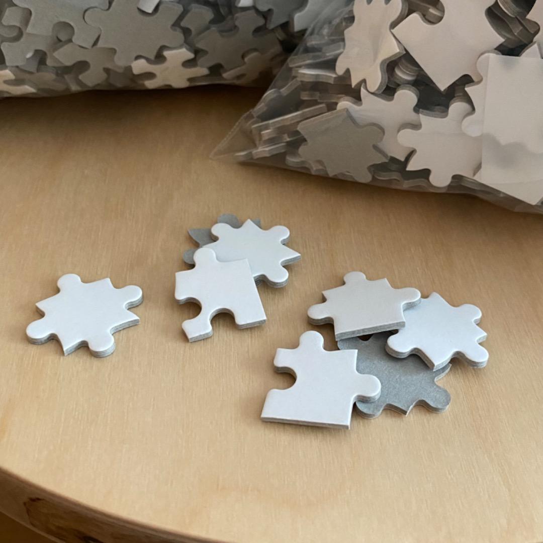 【未使用品】5005P ホワイト ジグソーパズル 特注品 アート 美術 白地図