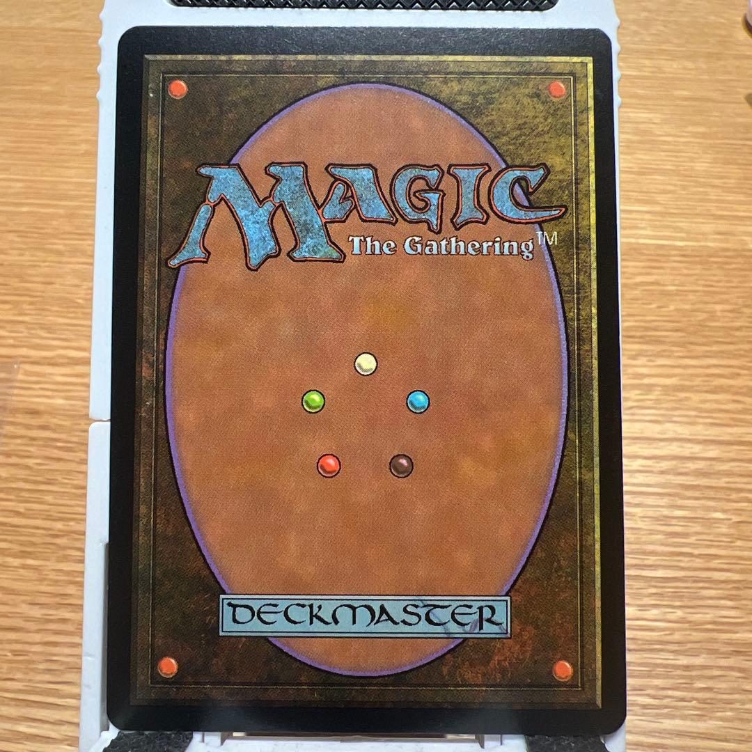 MTG TMP 大地の知識