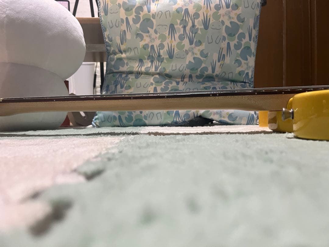 Bacchus Universe Series テレキャスター