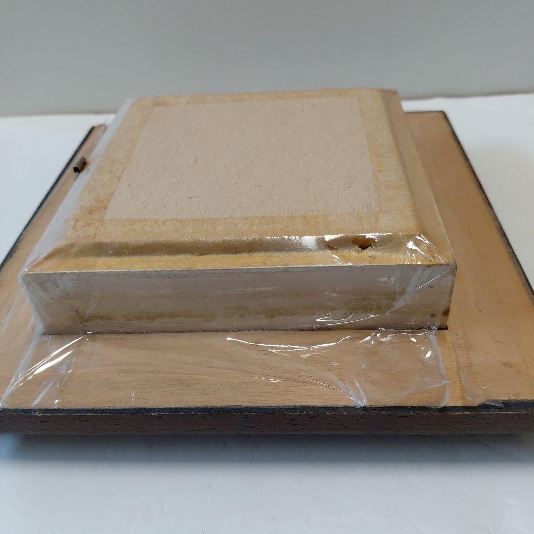 キプリスモルフォ蝶　コロンビア　壁掛け