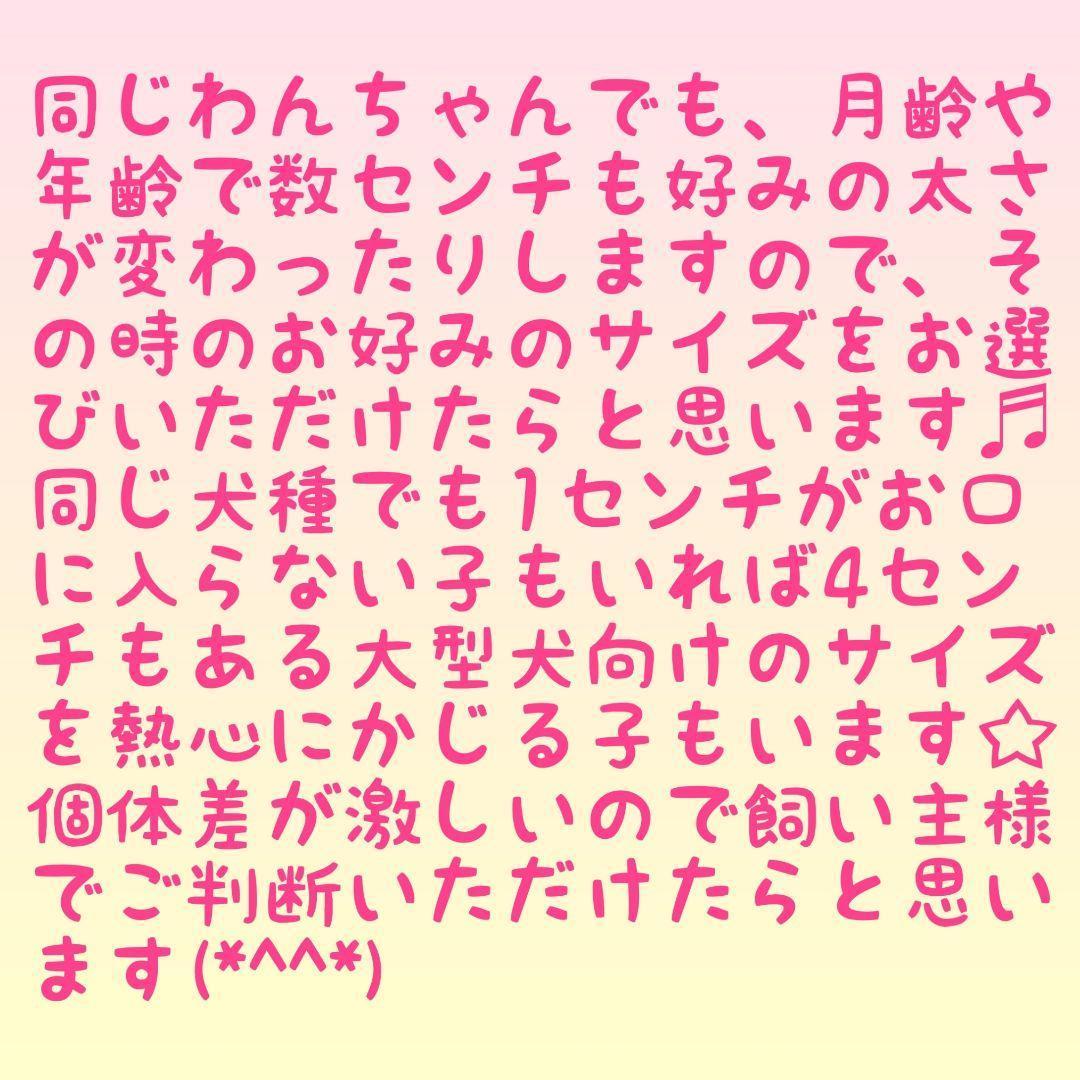 ☆179.犬用国産梨の木、枝、おもちゃ超小型犬向け？歯固め、かじり木、あまがみ
