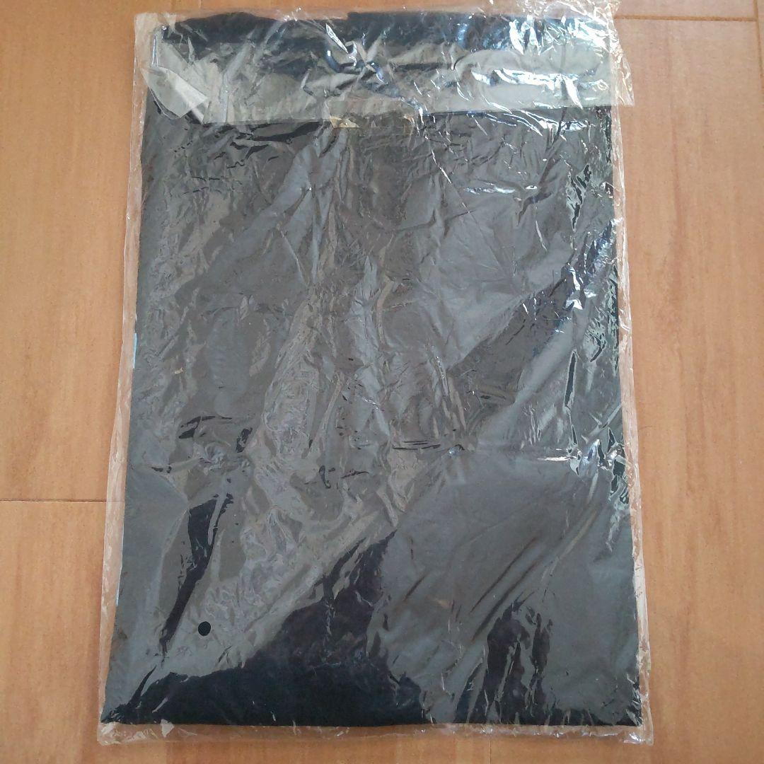 GOING STEADY Tシャツ(ピンバッチ付) Mサイズ