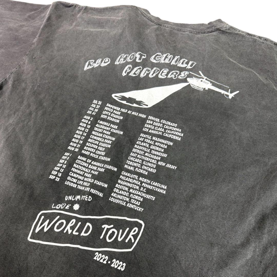 ミュージシャン tessuto  62 RED HOT CHILI PEPPERS