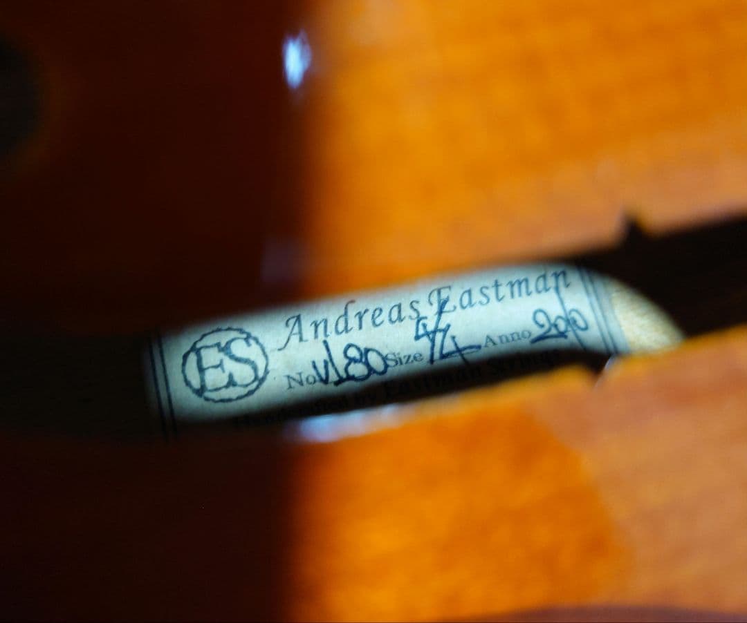Eastman Strings VL80 バイオリン 4/4 ケース、弓、松脂付