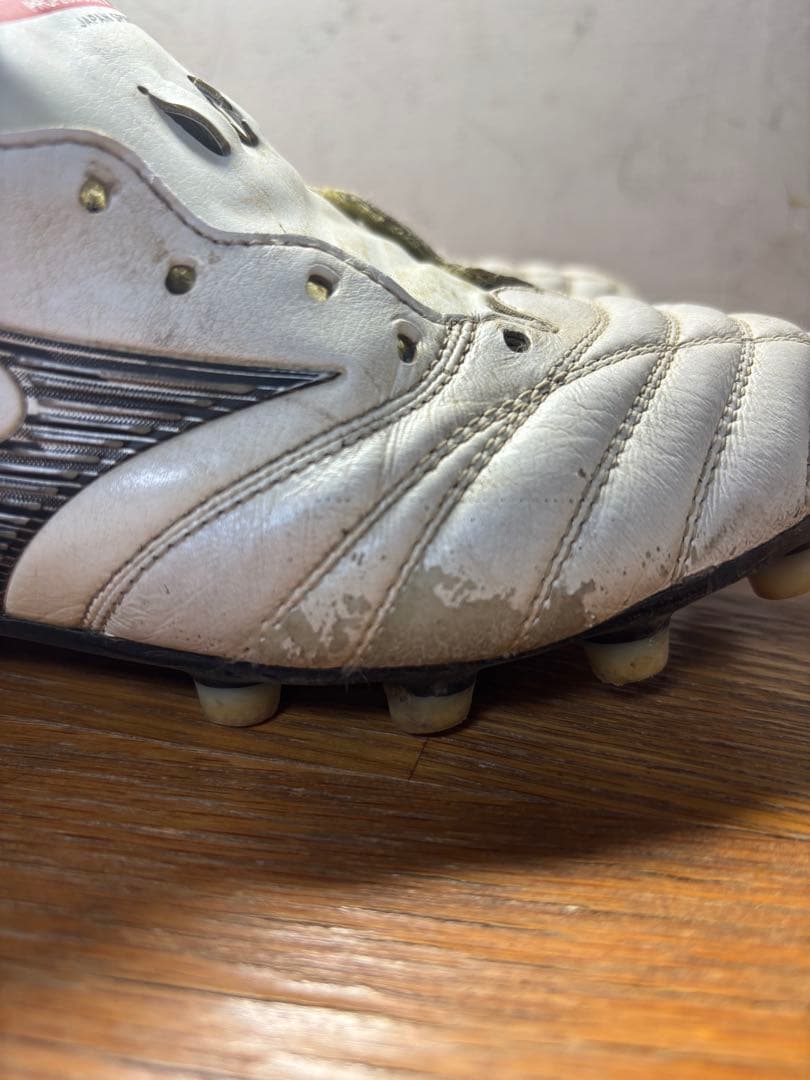 モレリアネオ4 25.0cm