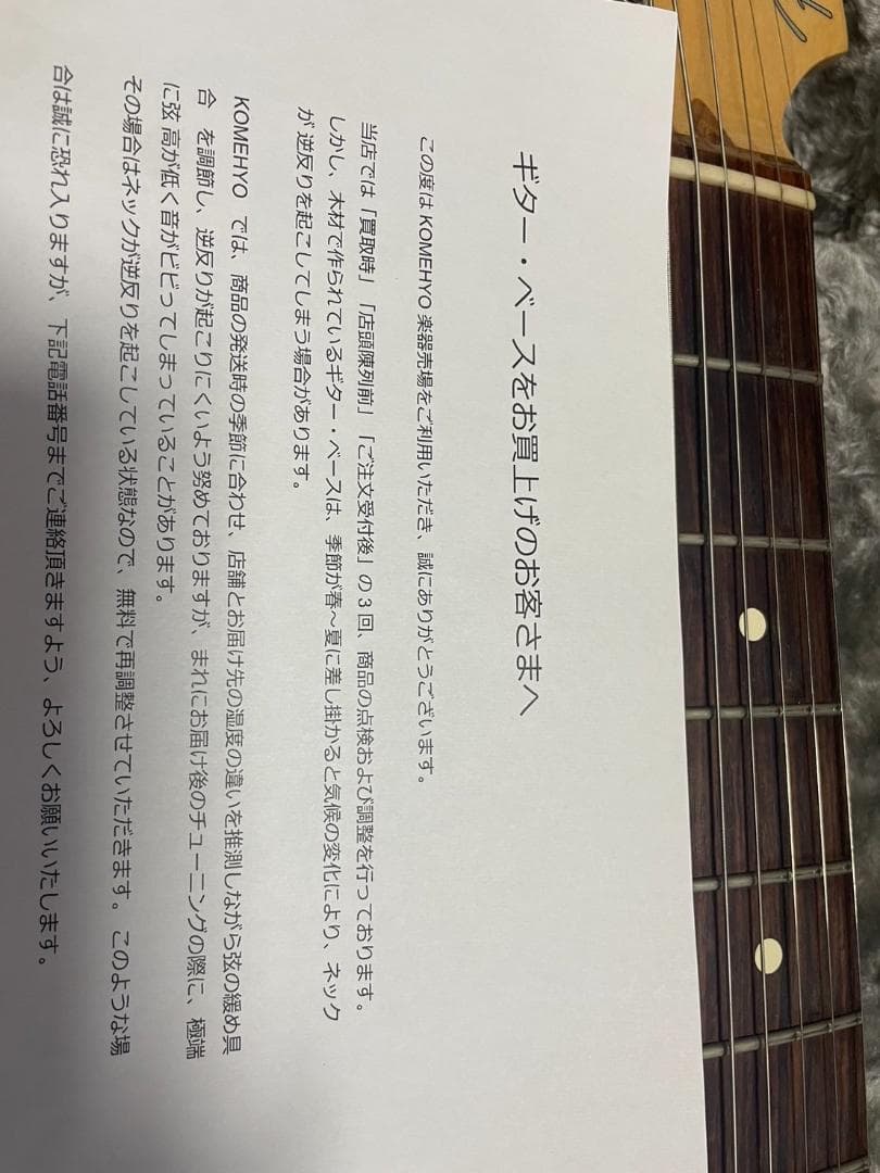 Fender Am Pro Strat HSS 2019 ケース付