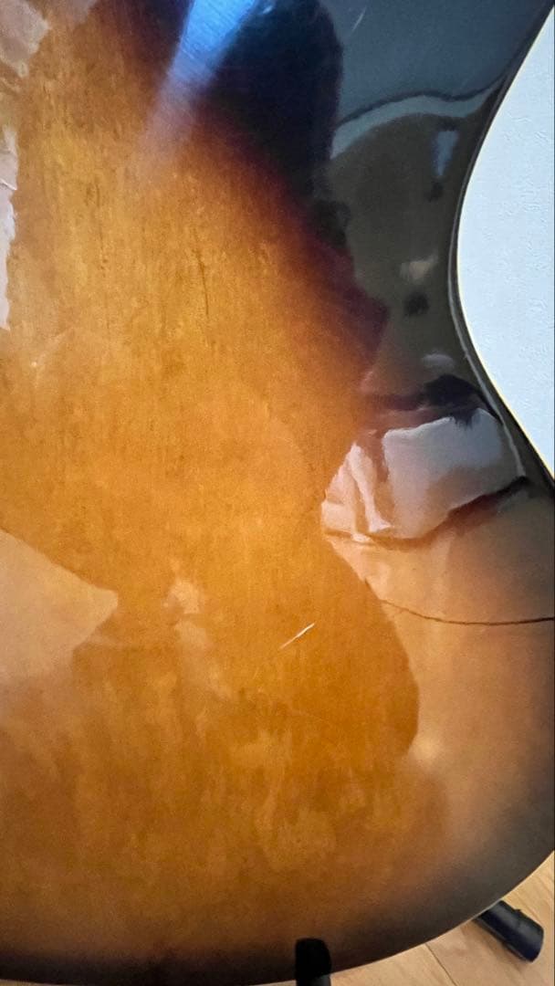 Aria Pro II PE-175 ハーブエリスモデル　ケースなし