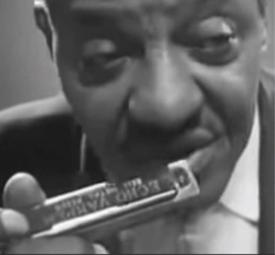 ホーナー Echo Vamper Low D ブルースハープ　ハーモニカ