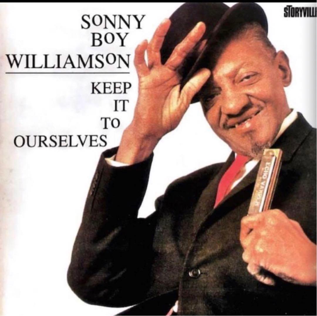 ホーナー Echo Vamper Low D ブルースハープ　ハーモニカ