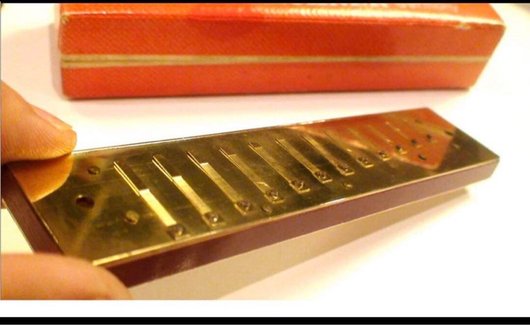 ホーナー Echo Vamper Low D ブルースハープ　ハーモニカ