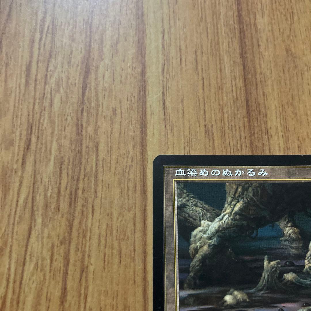 血染めのぬかるみ(日1枚)