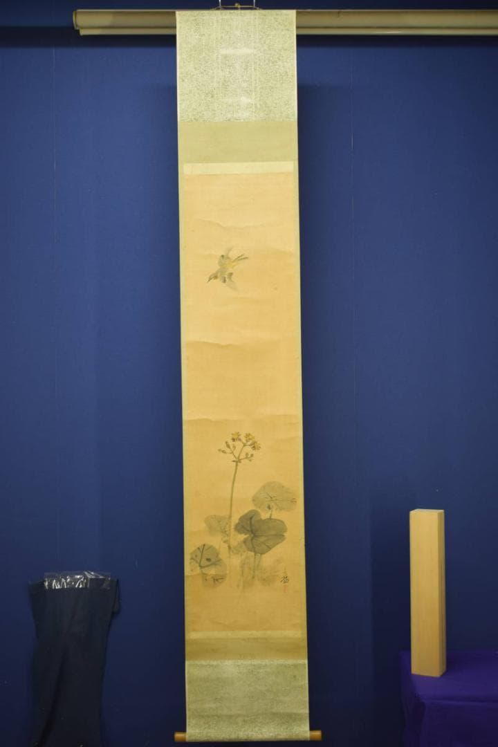 真作/今井景樹/蕗/小禽図/フキ/布袋屋掛軸HI-903