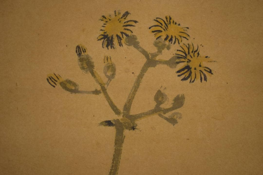 真作/今井景樹/蕗/小禽図/フキ/布袋屋掛軸HI-903