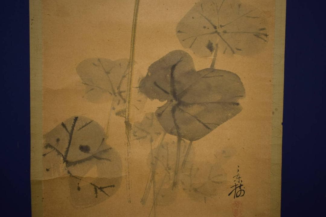 真作/今井景樹/蕗/小禽図/フキ/布袋屋掛軸HI-903