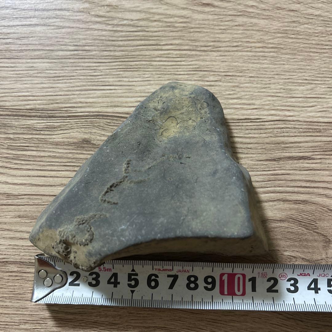 化石　爬虫類　ノジュール